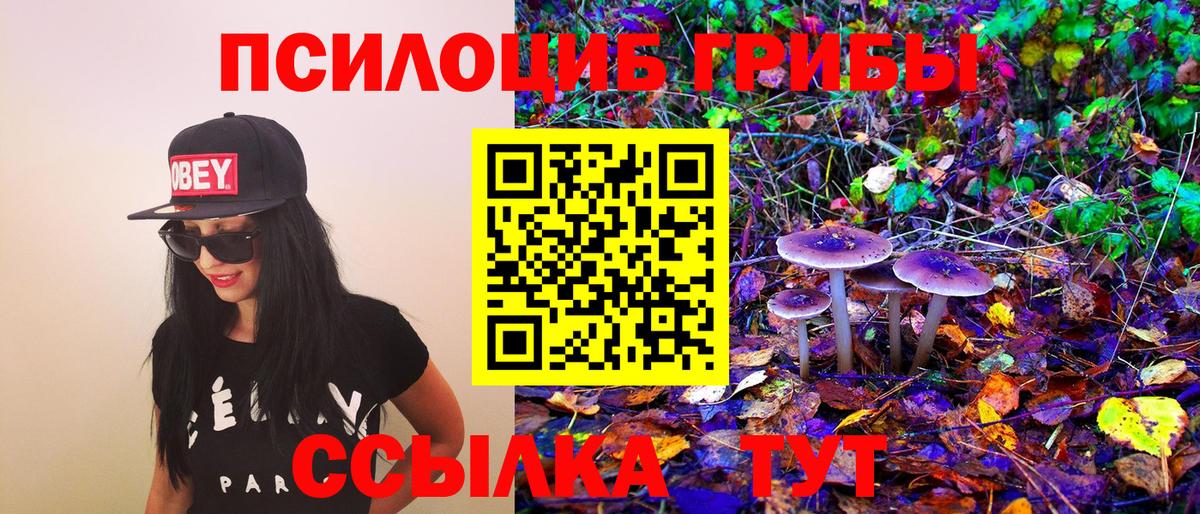 Галлюциногенные грибы Magic Shrooms  Вход с VPN  Ирбит 