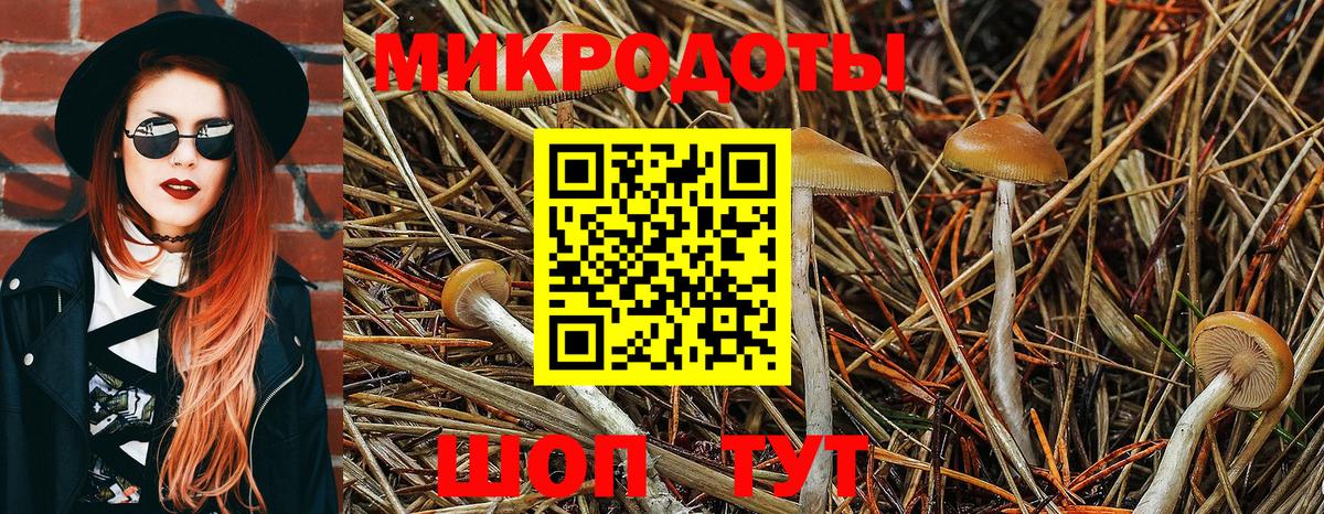 Галлюциногенные грибы ЛСД Ирбит
